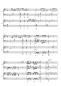 Preview: L' Arlésienne, Georges Bizet, Gottfried Hummel, Akkordeon-Duo, Standardbass MII, Suite, mittelschwer-schwer, Akkordeon Noten, Notenbeispiel