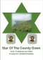 Preview: Star Of The County Down, The Drunken Sailor, Gottfried Hummel, Akkordeonorchester, Folk Song aus Irland, leicht-mittelschwer, Easy-Stimme, grüne Insel, Akkordeon Noten