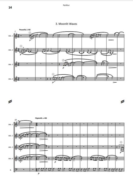 4 Seaside Sketches, Ian Watson, Akkordeon-Orchester, typisch britisch, verregneter Urlaub am Meer, in 4 Sätzen, Originalkomposition, Auftragskomposition, Mittelstufe, mittelschwer, Originalmusik, Akkordeon Noten, Probeseite