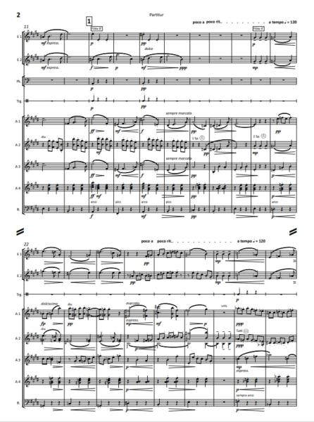 Eine Ballett-Suite in D-Dur, op. 130 - Satz 5: Valse d'amour, Max Reger, Stefan Hippe, Akkordeon-Orchester, Suite, Walzer, (mittelschwer-) schwer, Akkordeon Noten, Notenbeispiel